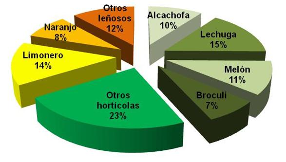 Distribución de cultivos de la Comunidad de Regantes del Campo de Cartagena